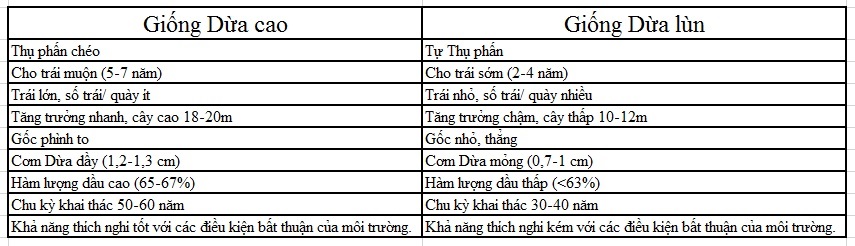 Những đặc điểm phân biệt giữa hai nhóm giống Dừa cao và giống Dừa lùn
