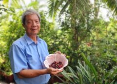Người tiên phong mang hạt giống nho thân gỗ ươm mầm đất cù lao Tân Lộc